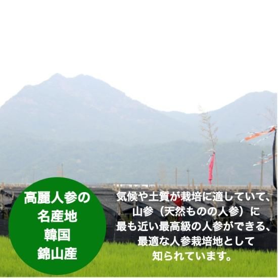 無農薬 極上ドライなつめSOFT JUJUBE 120g (農薬・化学肥料不 無農薬 極上ドライなつめSOFT JUJUBE 120g (農薬・化学肥料不