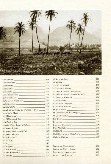 新品 レイ・ナホノアピイラニ Songs of West Maui