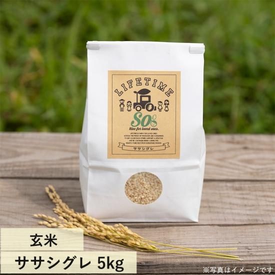 ササシグレ 玄米 ササシグレ 玄米