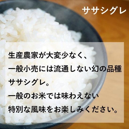 ササシグレ 玄米 ササシグレ 玄米