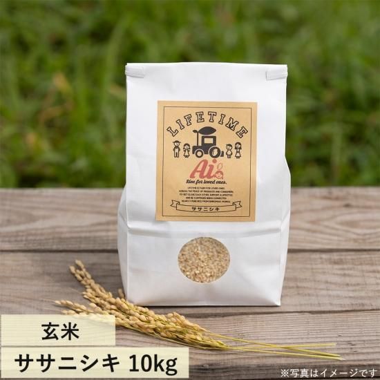 楽天市場】【ふるさと納税】令和6年産 ササニシキ 選べる 5kg