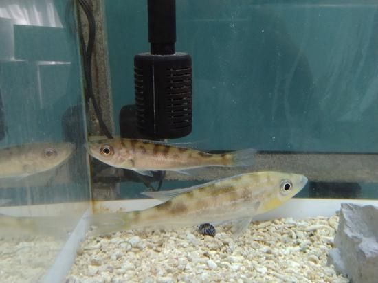 174154842.jpg?cmsp_timestamp=