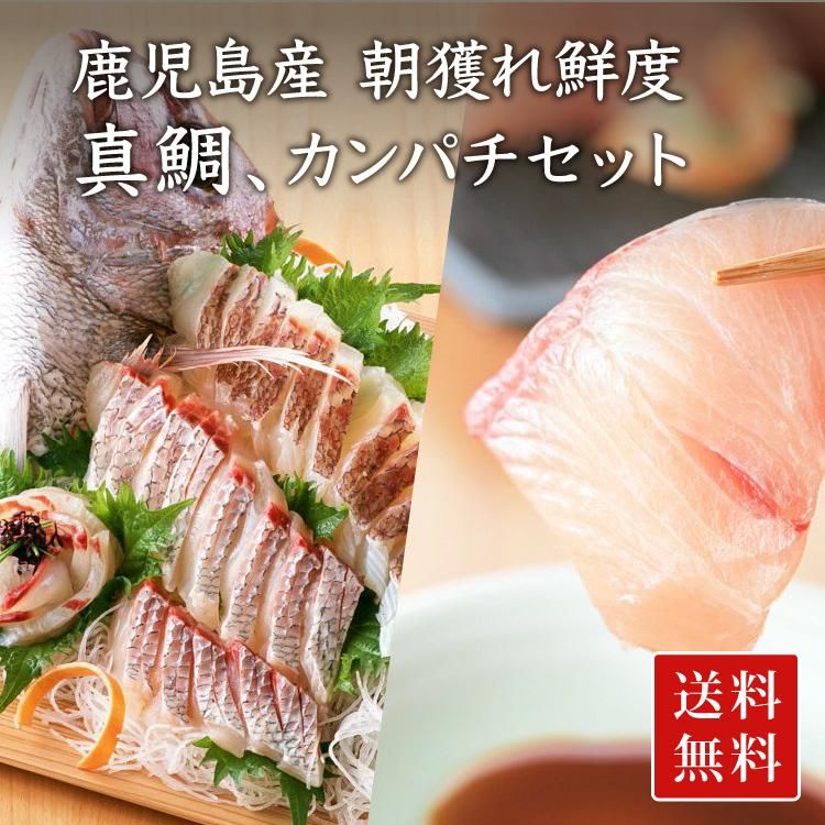【冷蔵便/朝獲れ鮮度】スライスするだけ!真鯛、カンパチ刺身セット( 真鯛 1尾、カンパチ 1/2尾)(送料無料)