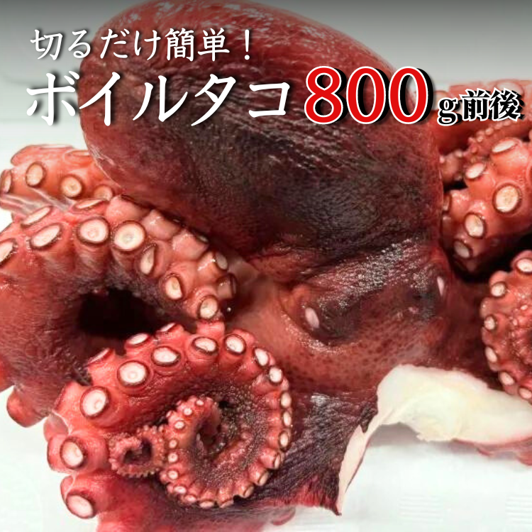 ڤñ٤ܥ륿