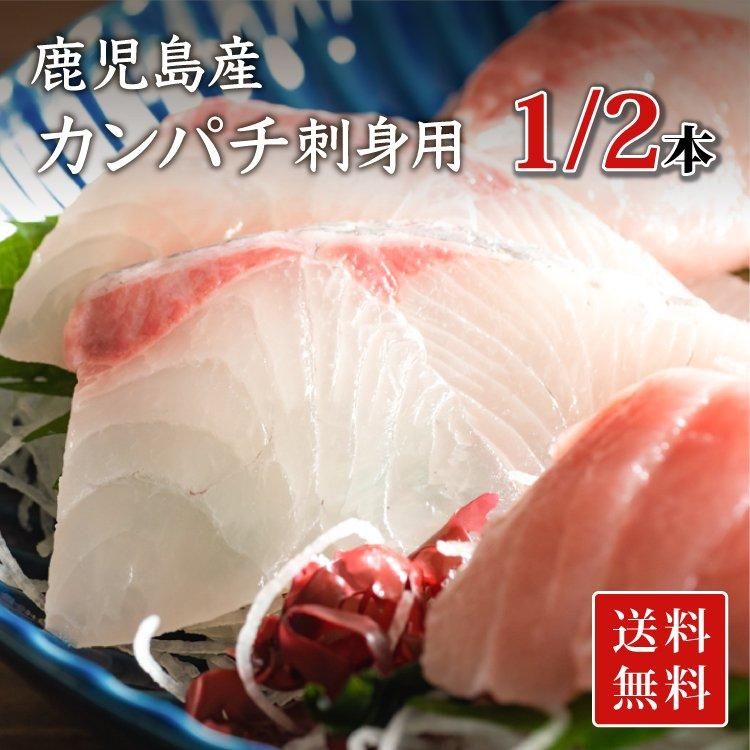カンパチ 刺身用 6 8人前の通販 津曲商店 鹿児島魚市場 カンパチ 刺身用 6 8人前の通販 津曲商店 鹿児島魚市場