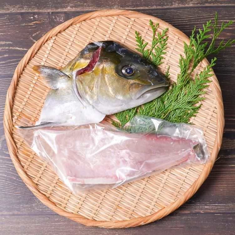 カンパチ 刺身用 １本の通販 津曲商店 鹿児島魚市場