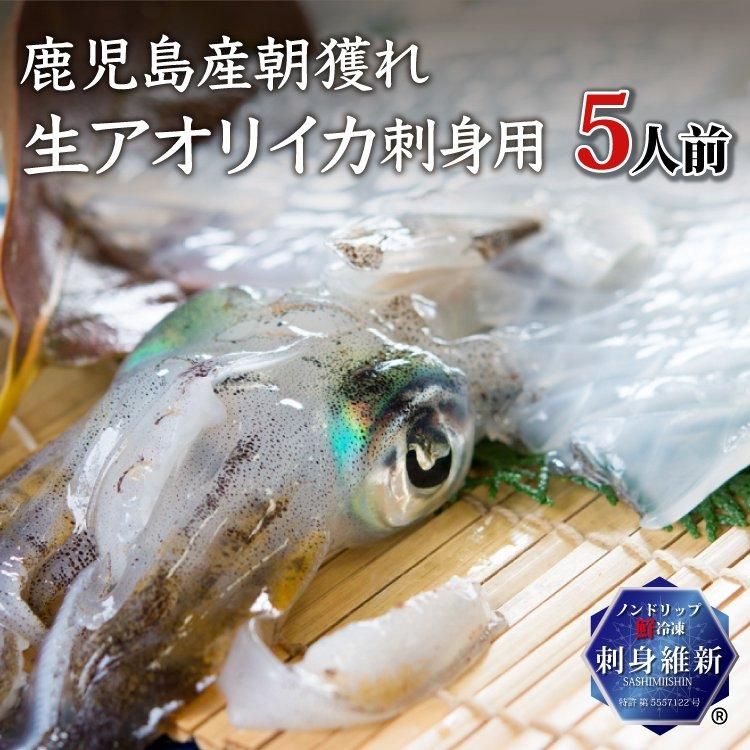 朝獲れ生アオリイカ 刺身用 ４ ５人前の通販 津曲商店 鹿児島魚市場