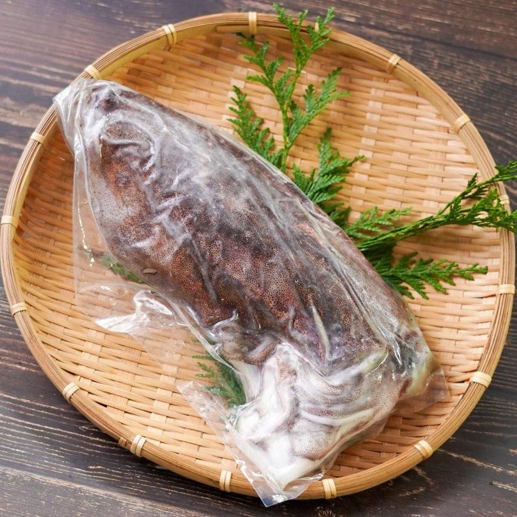 朝獲れ生アオリイカ 刺身用 4 5人前の通販 津曲商店 鹿児島魚市場 朝獲れ生アオリイカ 刺身用 4 5人前の通販 津曲商店 鹿児島魚市場