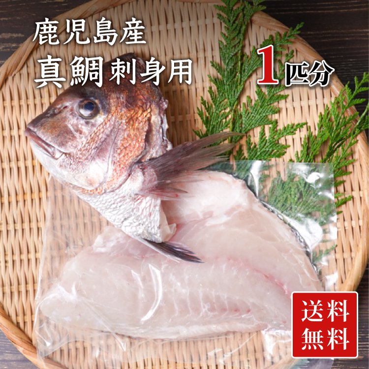 真鯛 マダイ 刺身用 一匹の通販 津曲商店 鹿児島魚市場