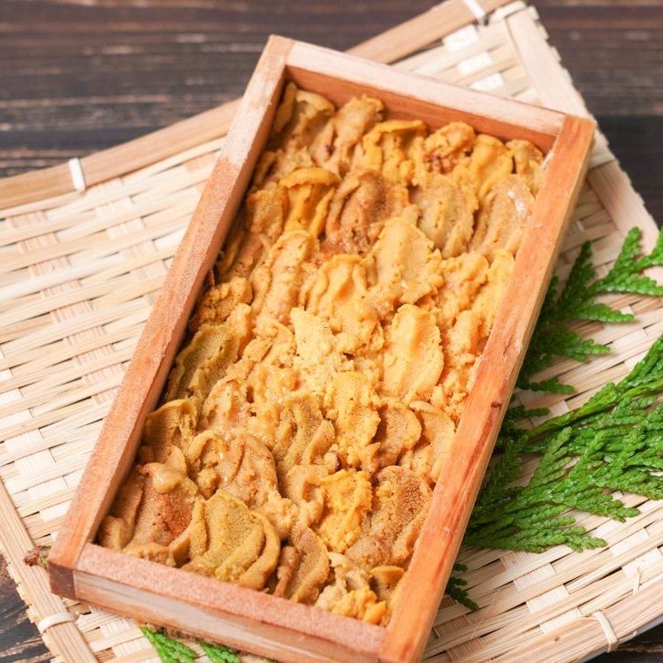 天然生うに 鹿児島県阿久根産 約60g×5枚セット（送料無料）の通販