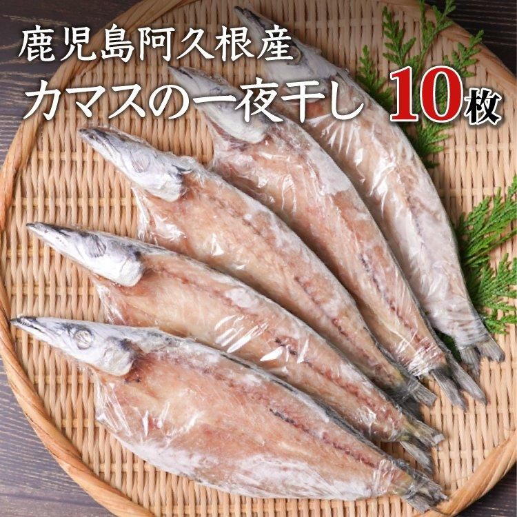 お得 カマスの一夜干し １０枚セット 鹿児島阿久根産の通販 津曲商店 鹿児島魚市場