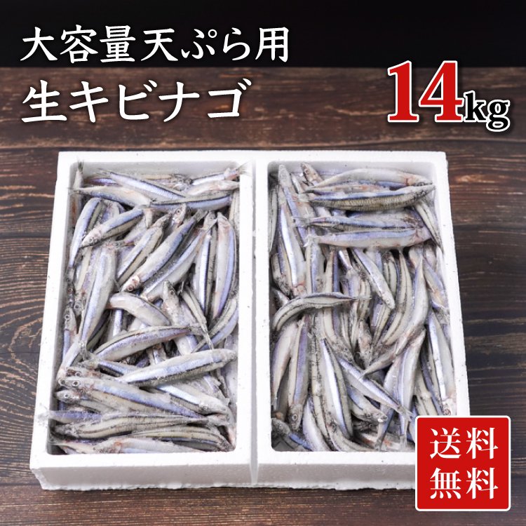 【業務用】天ぷら用 キビナゴ 14kg（500g×28）（送料無料）