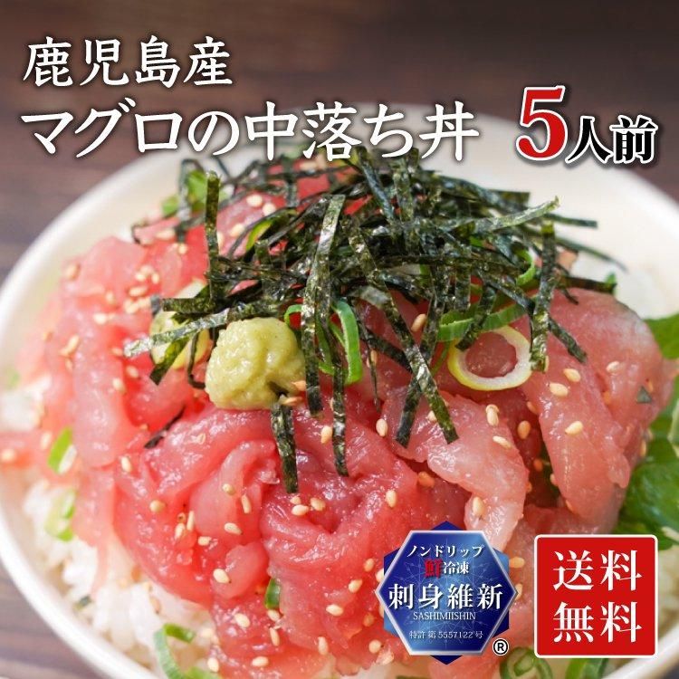 御歳暮・お中元ギフト用の鮮魚通販 | 津曲商店 鹿児島魚市場 御歳暮・お中元ギフト用の鮮魚通販 | 津曲商店 鹿児島魚市場