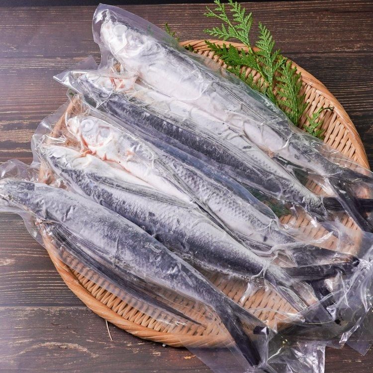 新品　ガラム220 トビウオ 新品 ガラム220 トビウオ