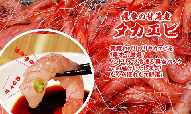 タカエビといえば津曲商店 鹿児島魚市場からタカエビを産地直送通販 タカエビといえば津曲商店 鹿児島魚市場からタカエビを産地直送通販