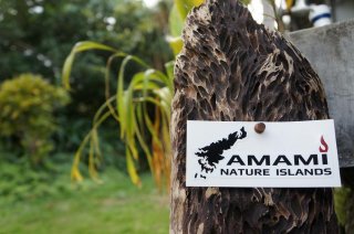 AMAMI Nature Islands ϿޤդΥȥ饤Хǥ󥹥ƥå//ǥѸѿ͡