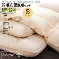 ߸10cm 󥰥  ӳ + ܥ塼ĥå 르ɥ٥