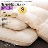 ߸15cm 󥰥  ӳ + ܥ塼ĥå 르ɥ٥