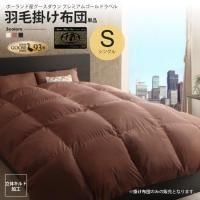 ӳĥ󥰥 ݤĤΤ  ץߥॴɥ٥