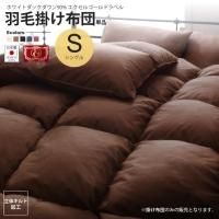 ӳĥ󥰥 ݤĤΤ  르ɥ٥