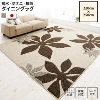 <img class='new_mark_img1' src='https://img.shop-pro.jp/img/new/icons6.gif' style='border:none;display:inline;margin:0px;padding:0px;width:auto;' />饰 220250cm   ǥ饰 ˥  ù ɥ  ڥåȡ饰