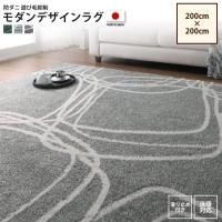 <img class='new_mark_img1' src='https://img.shop-pro.jp/img/new/icons6.gif' style='border:none;display:inline;margin:0px;padding:0px;width:auto;' />饰 200200cm   ǥ饰 ɥ ͷ  ڥåȡ饰