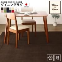 <img class='new_mark_img1' src='https://img.shop-pro.jp/img/new/icons6.gif' style='border:none;display:inline;margin:0px;padding:0px;width:auto;' />饰 220250cm   ˥󥰥饰  ɱ ɥ  ɱ   ڥåȡ饰