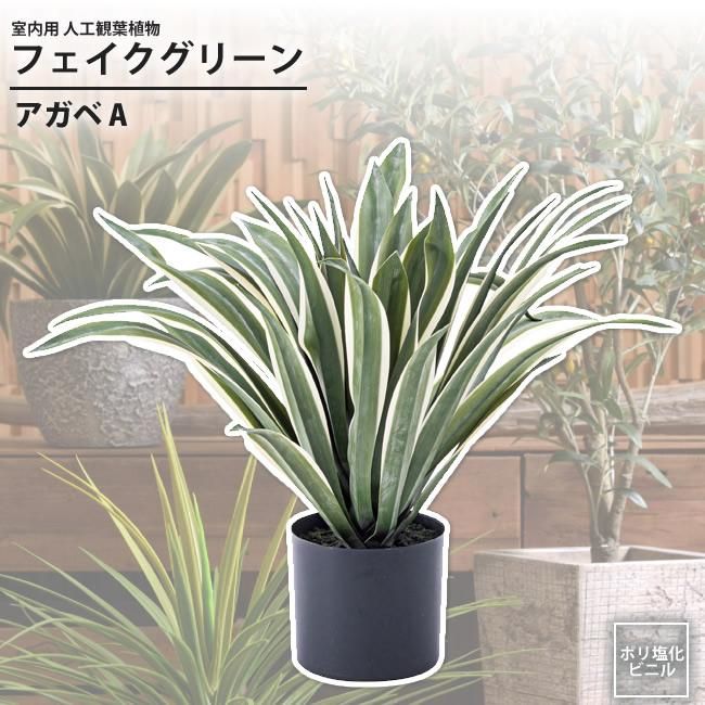アガベa フェイクグリーン 室内用 人工観葉植物 おしゃれ インテリアグリーン Grn 13 フェイクグリーン アガベ インテリアショップ Kutola クトラ アガベa フェイクグリーン 室内用 人工観葉植物 おしゃれ インテリアグリーン Grn 13 フェイクグリーン アガベ インテリアショップ Kutola クトラ