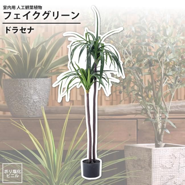 ドラセナ フェイクグリーン 室内用 人工観葉植物 おしゃれ インテリアグリーン Grn 15 フェイクグリーン ドラセナ インテリアショップ Kutola クトラ ドラセナ フェイクグリーン 室内用 人工観葉植物 おしゃれ インテリアグリーン Grn 15 フェイクグリーン ドラセナ インテリアショップ Kutola クトラ