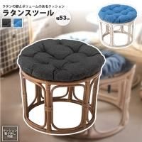 ġ ľ53cm    饿   ػ   NS-537 BK/BL ޥ塼ġ