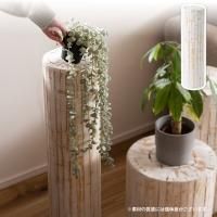 ꡼ڡA ľ20x⤵68  ץ󥿡 GUY-926WH ꡼١