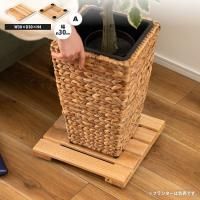 ץ󥿡١ ͳ 㥹դ 3030  若 Τ ȭ֤  HOW-012NA ץ󥿡١若