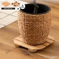 ץ󥿡١ Ȭѷ 㥹դ 3030  若 Τ ȭ֤  HOW-013NA ץ󥿡١若