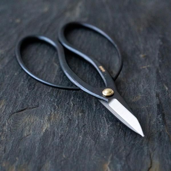 ߺù