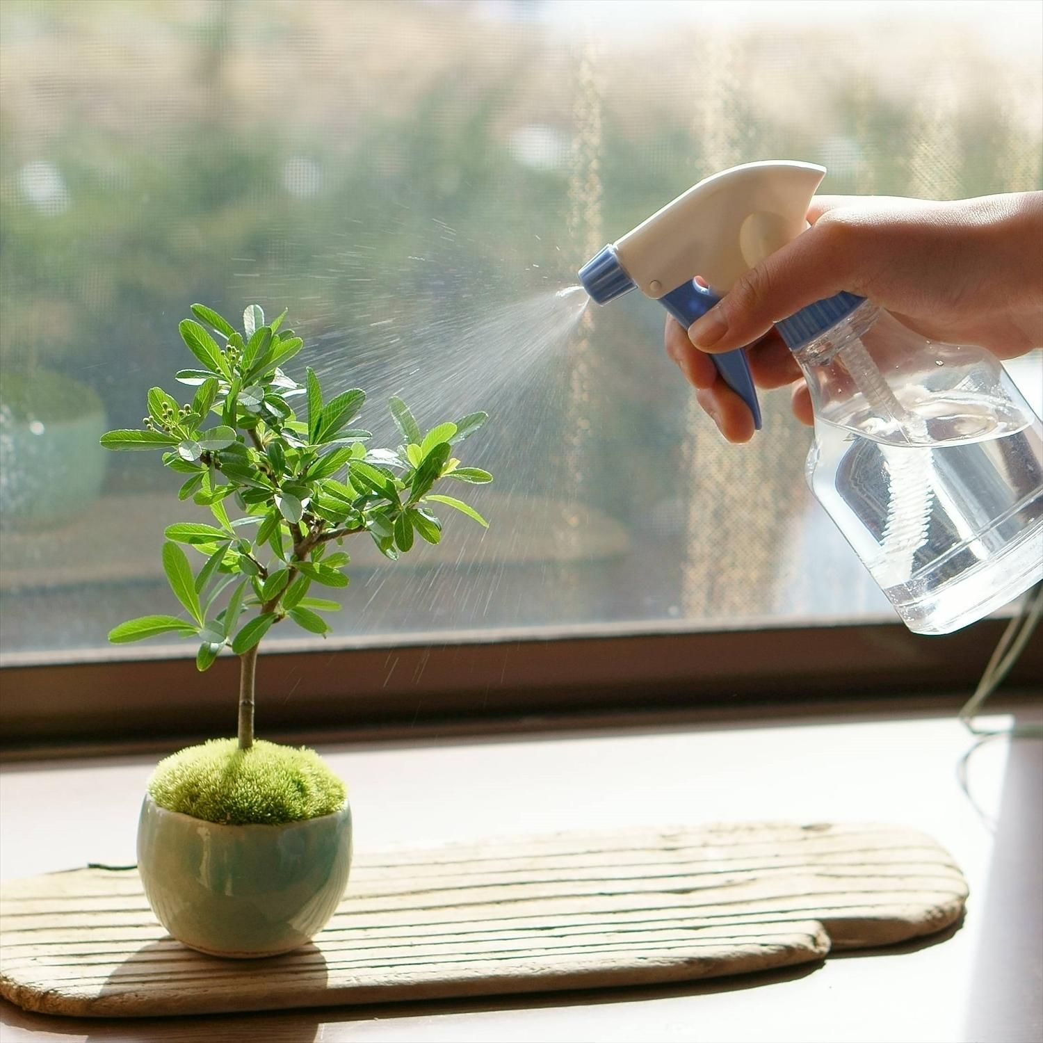 活性剤 メネデール 石木花 オンラインストア 小さな器に大きな自然 活性剤 メネデール 石木花 オンラインストア 小さな器に大きな自然