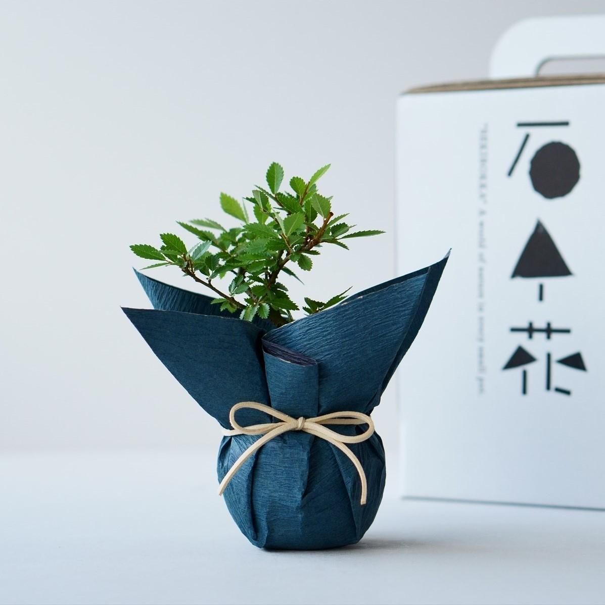 楽天市場】森伊蔵（形状（容器）瓶）の通販