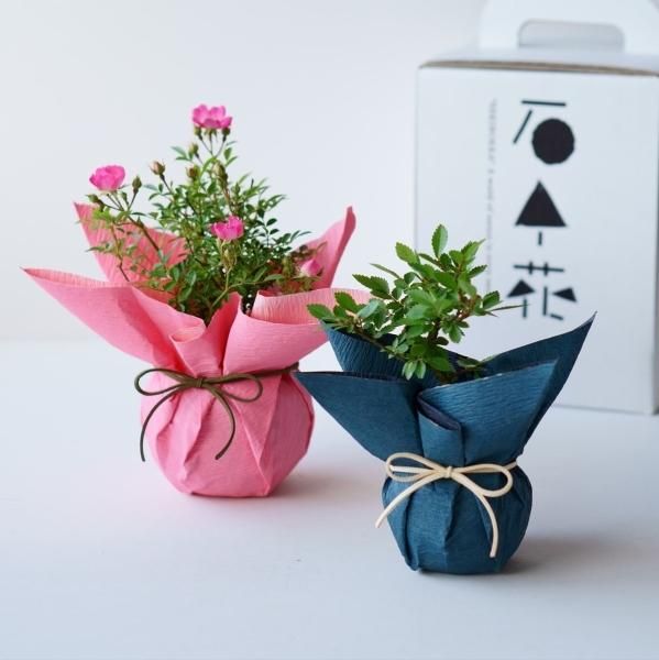 いま人気のアイテム ギフト オンラインストア｜小さな器に大きな自然 石木花 - 工芸品