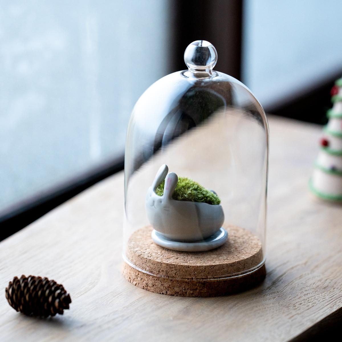 ガラスドーム - 石木花 オンラインストア｜小さな器に大きな自然