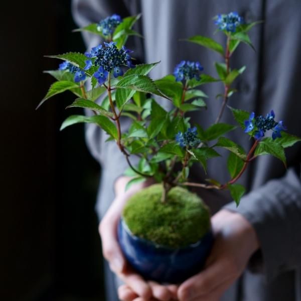 石木花 オンラインストア|小さな器に大きな自然 石木花 オンラインストア|小さな器に大きな自然