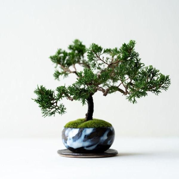 石木花 オンラインストア｜小さな器に大きな自然