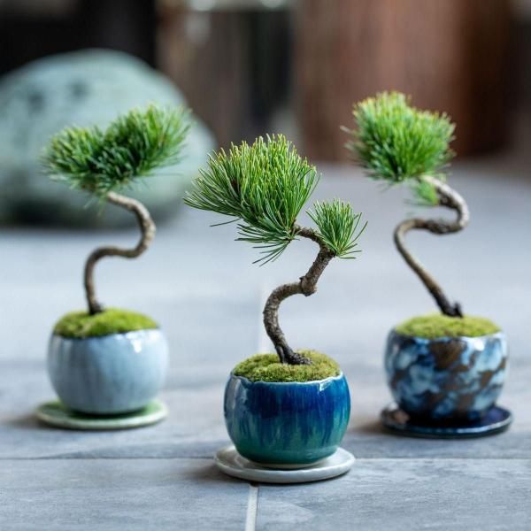 Ȭ˼襦ޥġLÿΡڼåȡ<img class='new_mark_img2' src='https://img.shop-pro.jp/img/new/icons5.gif' style='border:none;display:inline;margin:0px;padding:0px;width:auto;' />