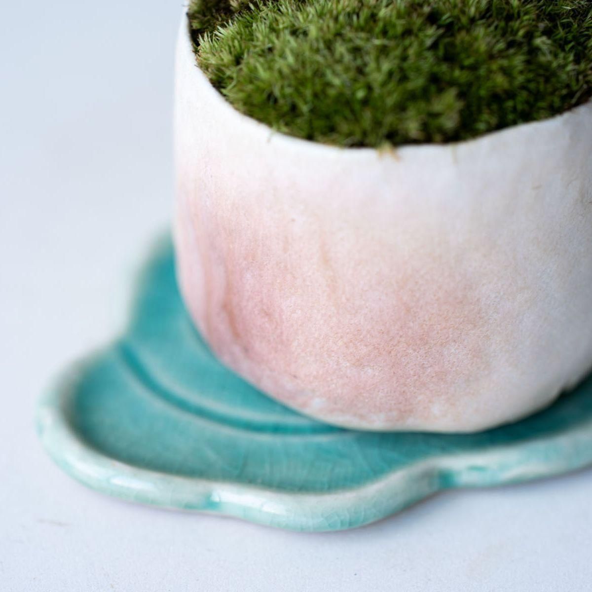 キンズ（金豆）｜no.002 - 石木花 オンラインストア｜小さな器に大きな自然