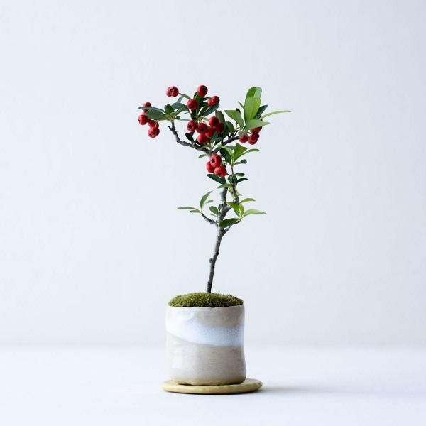 �ȥ��掠�󥶥���no.009