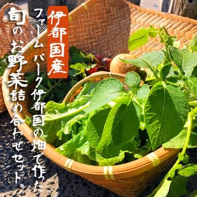 福岡県糸島市】伊都国産 旬の野菜盛り合わせセット - itovege.net 福岡県糸島市】伊都国産 旬の野菜盛り合わせセット - itovege.net