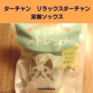 ターチャン 猫 にゃざっかや 通販