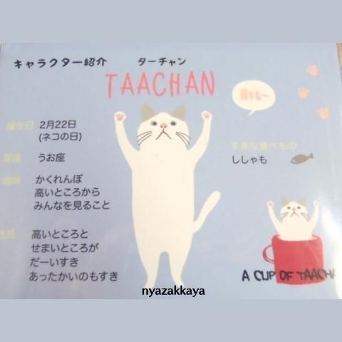 猫雑貨 ターチャン ポカポカターチャン ぬくぬく腹巻き Lw 413 526 にゃざっかや 通販 猫雑貨 ターチャン ポカポカターチャン ぬくぬく腹巻き Lw 413 526 にゃざっかや 通販