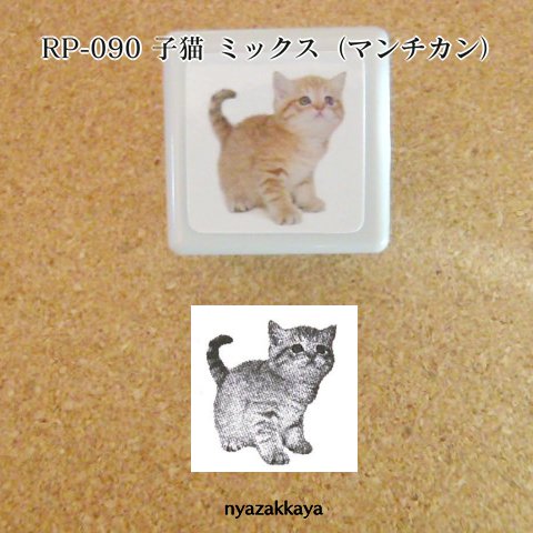 子猫 ハンコ リアルふぉとスタンプ 浸透印 にゃざっかや 通販