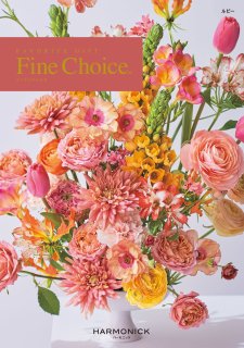 Fine Choice 【ルビー】