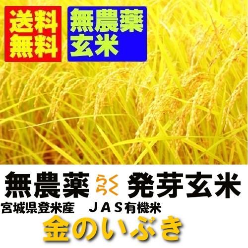 令和6年産 無農薬 楽々発芽玄米 金のいぶき 2kgx4袋 送料 令和6年産 無農薬 楽々発芽玄米 金のいぶき 2kgx4袋 送料