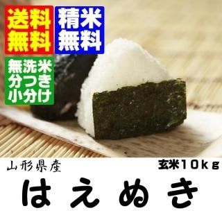 令和5年産 山形県産はえぬき 玄米10kg 精米・送料無料